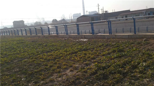 宁波不锈钢河道护栏